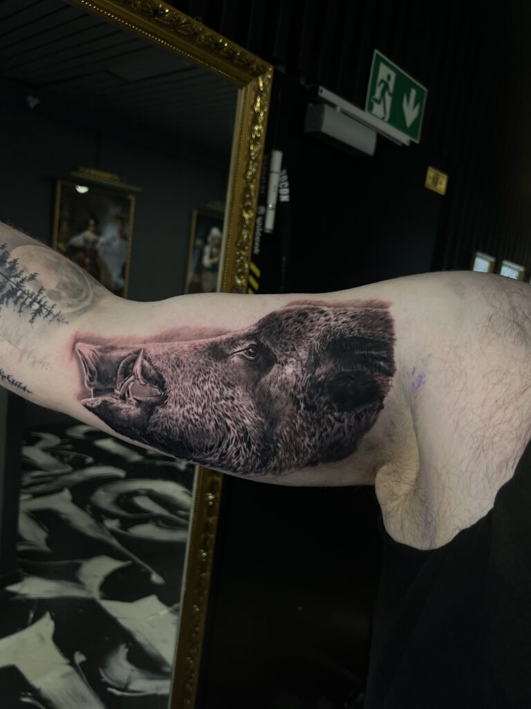 Realistik Tatto Wildschwein realistisches Tattoo eines Wildschweins